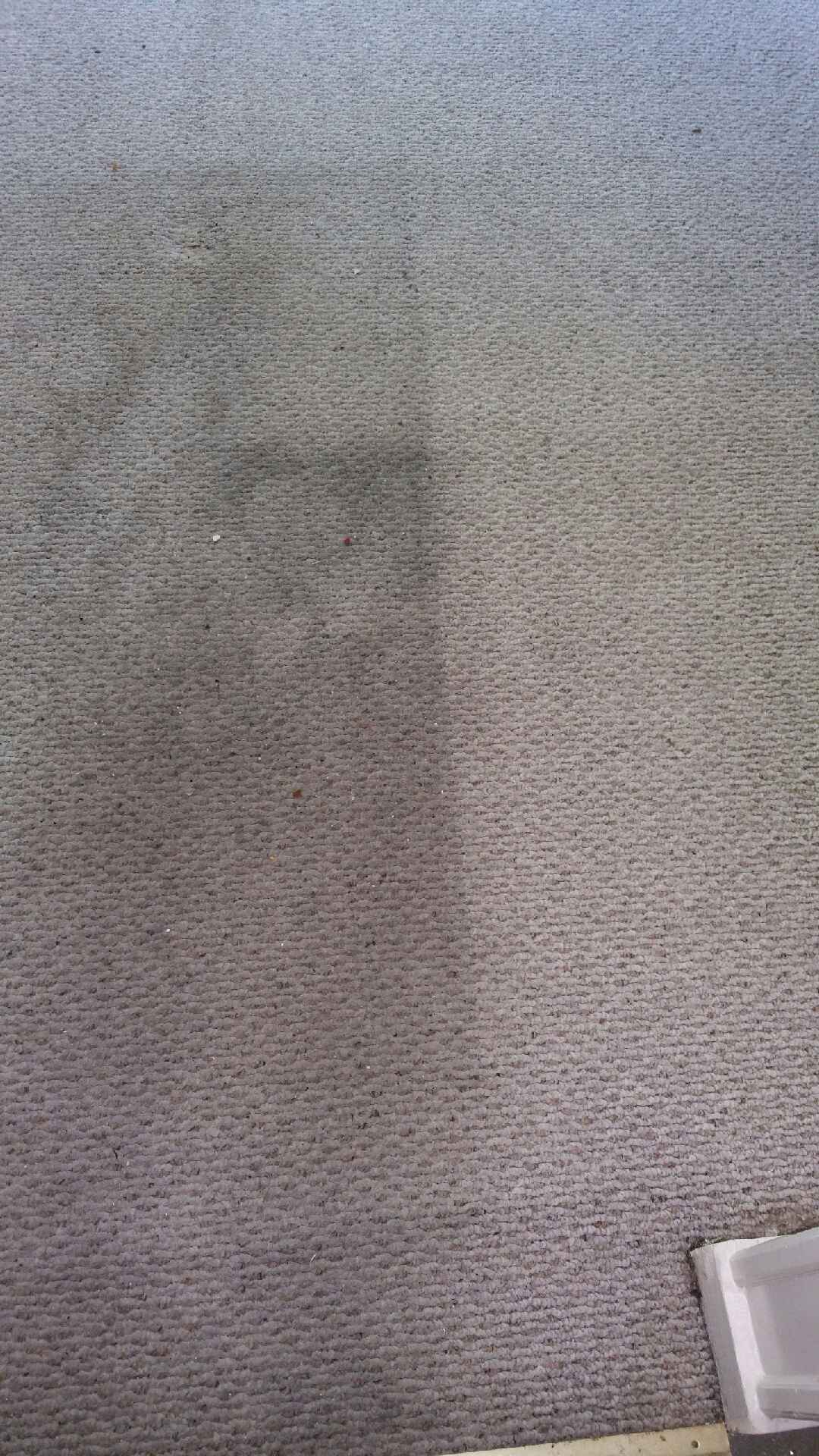 Miracle Mist Carpet Cleaning